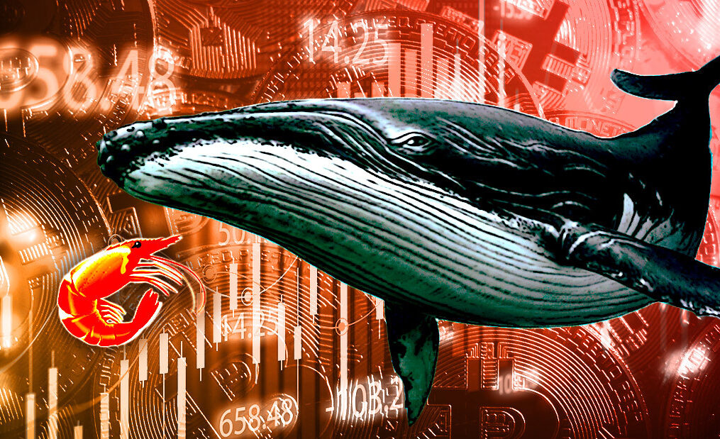 Research: Shrimps vs. Whales — Small holders accumulate Bitcoin as whales dump