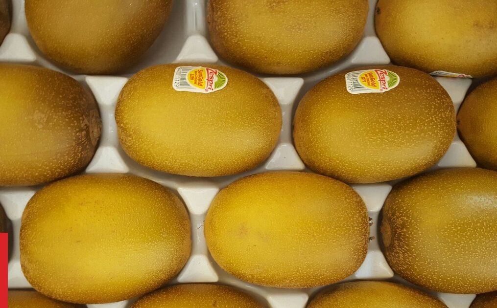 Zespri predicts bumper kiwifruit exports this season