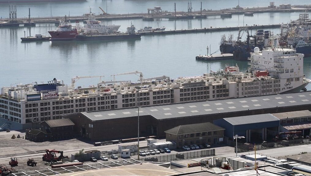 News24 | The Al Kuwait livestock vessel has left Cape Town Harbour for Iraq