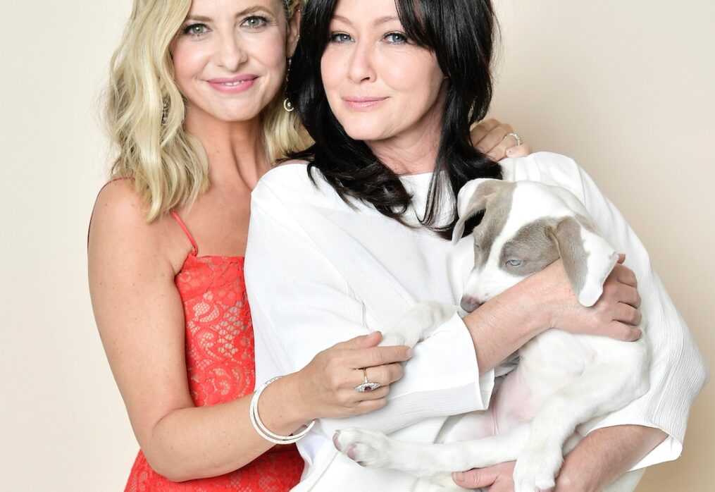 Be Charmed By Sarah Michelle Gellar’s Praise For Shannen Doherty